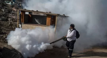 Perú declara la emergencia por el dengue