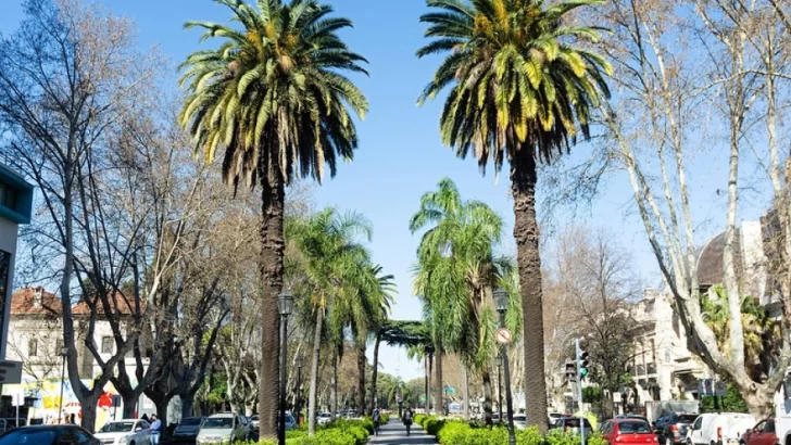 La Escuela de Jardinería dictará un taller sobre palmeras ornamentales