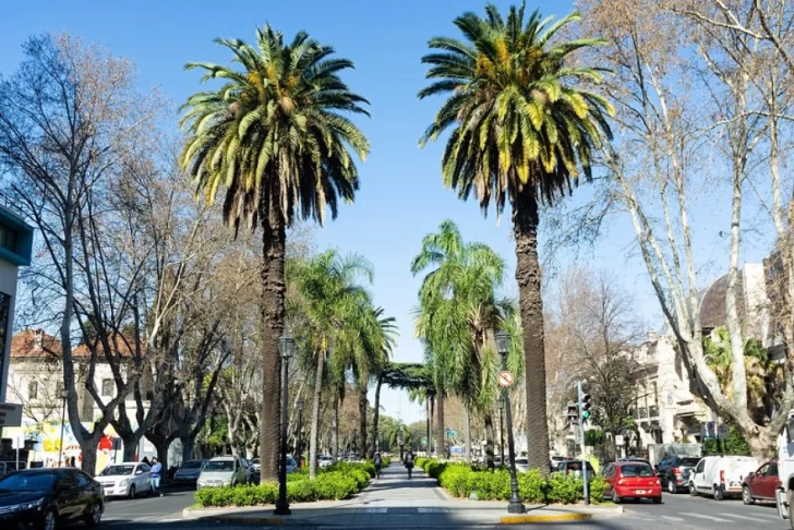 La Escuela de Jardinería dictará un taller sobre palmeras ornamentales