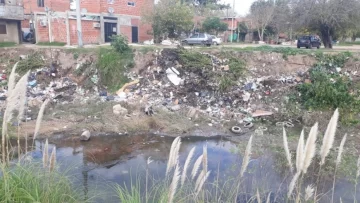 El Concejo aprobó una audiencia pública para debatir el estado ambiental del arroyo Ludueña