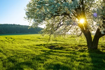 Rosario: ¿Cómo estará el clima durante el finde?