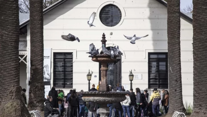 Vacaciones de invierno en Rosario: los museos ofrecen actividades para todas las edades