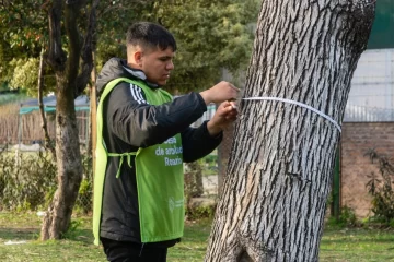 El municipio inició el censo de arbolado en espacios verdes