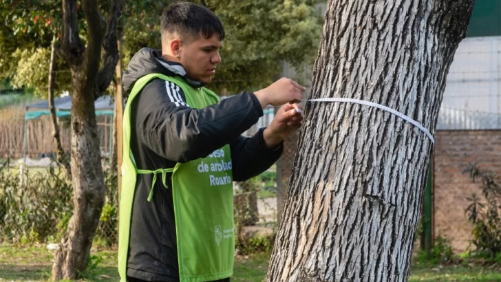 El municipio inició el censo de arbolado en espacios verdes