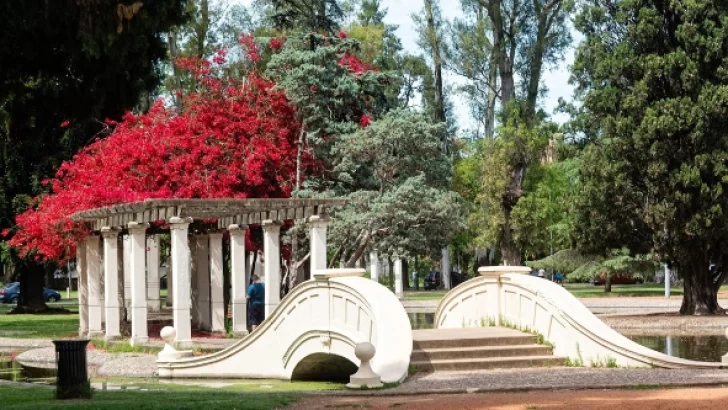 A partir de la primavera las parejas podrán casarse en los espacios públicos de Rosario