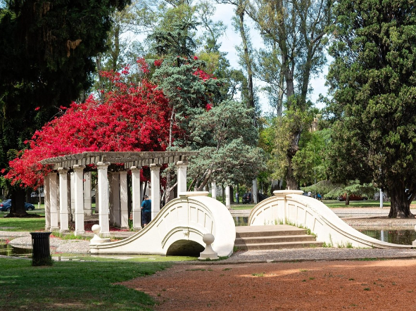 A partir de la primavera las parejas podrán casarse en los espacios públicos de Rosario