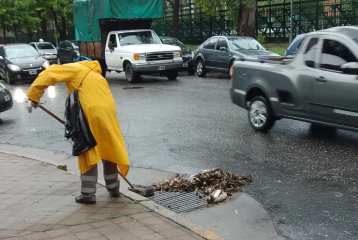 El municipio refuerza los trabajos de limpieza en diversos sectores de la ciudad