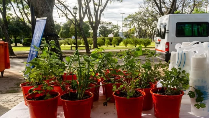 Viernes: nueva jornada de canje de reciclables en Las Cuatro Plazas