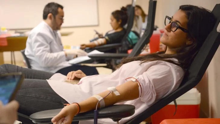 El martes 29 se hará una nueva jornada de donación de sangre en el Edificio de la ex-Aduana