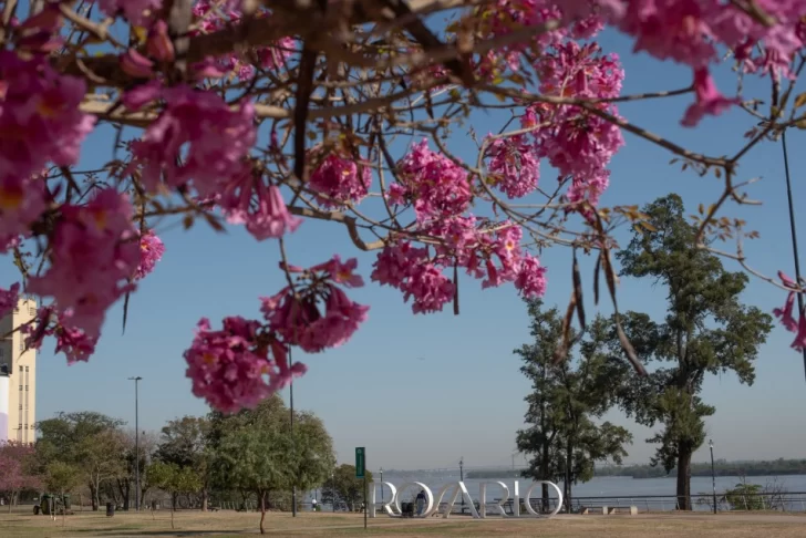 Fin de semana largo: Rosario tuvo la mayor cantidad de visitantes del último año