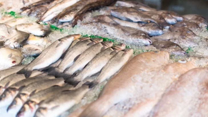 La Pescadería Móvil llega a los Mercados Arriba Rosario