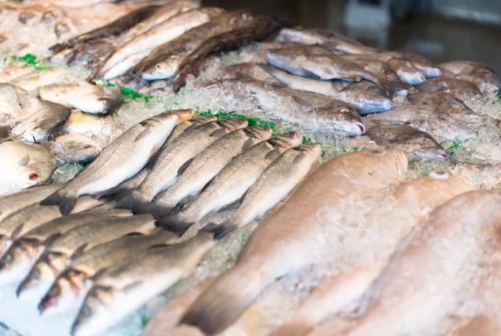 La Pescadería Móvil llega a los Mercados Arriba Rosario