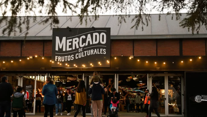 El Mercado de Frutos Culturales anuncia 22 nuevas propuestas