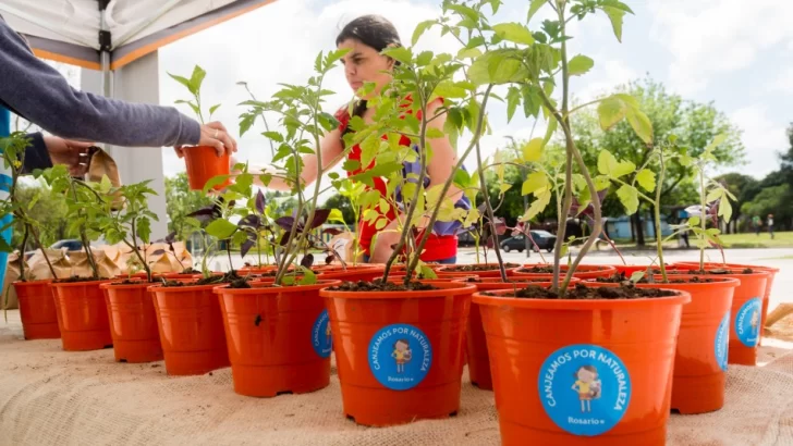 Se viene un canje de reciclables en el Mercado del Patio