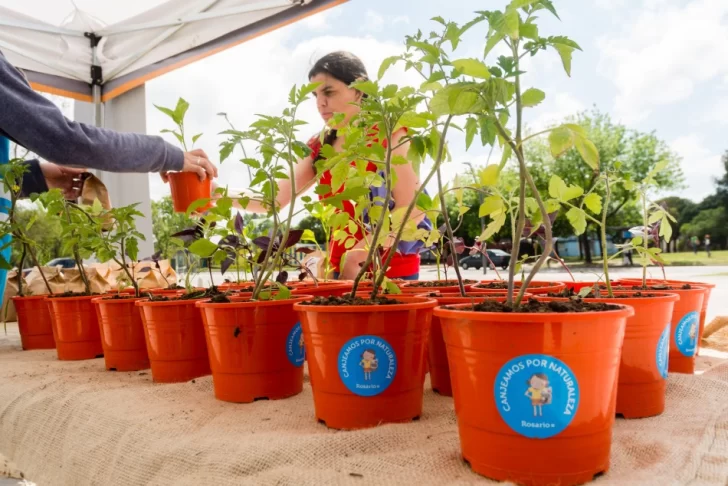 Se viene un canje de reciclables en el Mercado del Patio