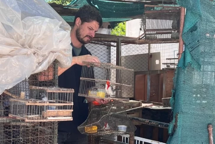 Rescataron más de 70 aves silvestres, algunas en peligro de extinción