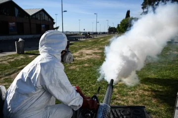 Chau bichos: la Municipalidad potencia con los operativos de fumigación en los espacios verdes