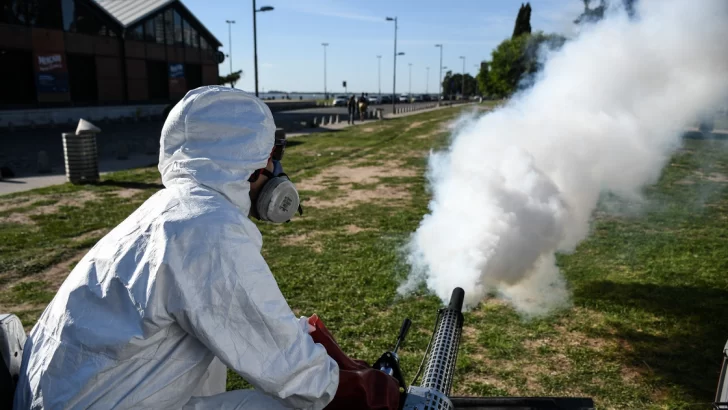 Chau bichos: la Municipalidad potencia con los operativos de fumigación en los espacios verdes