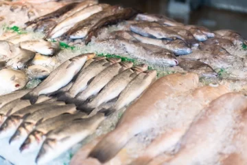Volvió la Pescadería Móvil con productos frescos en ocho puntos de la ciudad