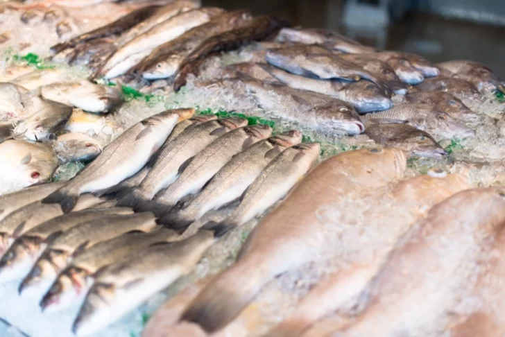 Volvió la Pescadería Móvil con productos frescos en ocho puntos de la ciudad