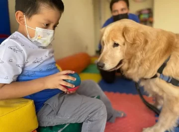 En Rosario, el Concejo habilitó las visitas de mascotas a niños con largas internaciones