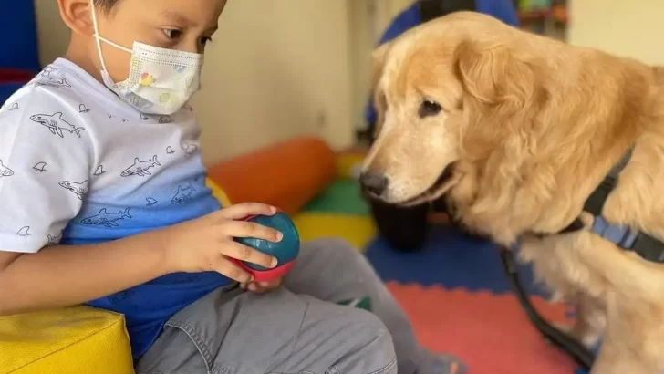 En Rosario, el Concejo habilitó las visitas de mascotas a niños con largas internaciones