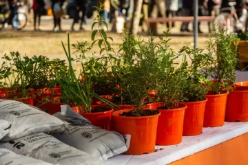 Este viernes llega el último canje de reciclables del año a plaza Italia