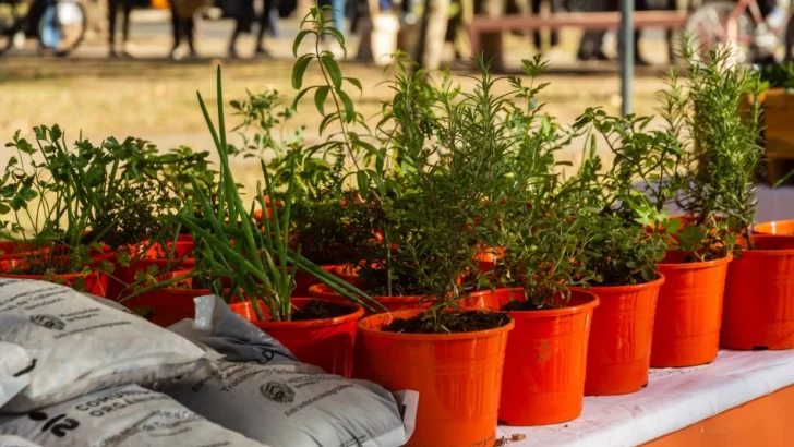 Este viernes llega el último canje de reciclables del año a plaza Italia