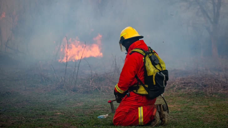 Volvieron los incendios en la zona de islas y Rosario amaneció con humo