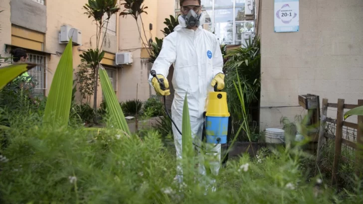 Ciudad: en la temporada epidemiológica se registraron sólo 13 casos de dengue