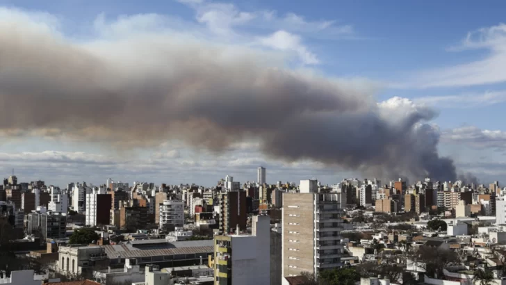 Un estudio afirma que el aire contaminado por los incendios provoca daños genéticos