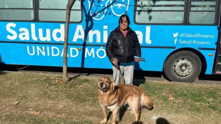 Campaña municipal para la castración y la adopción de mascotas rescatadas