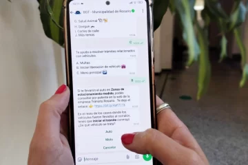 Atenti infractores: ahora pueden liberar sus vehículos del corralón a través de Munibot