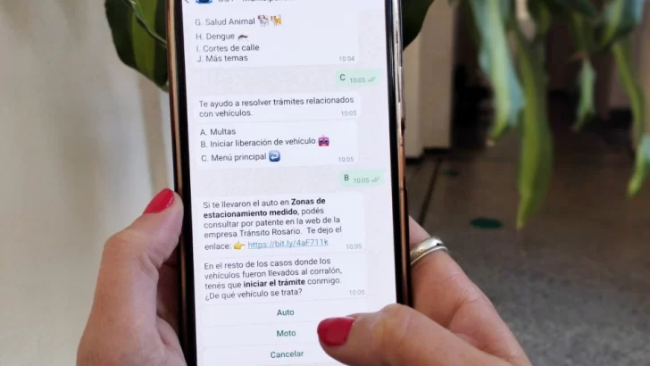 Atenti infractores: ahora pueden liberar sus vehículos del corralón a través de Munibot