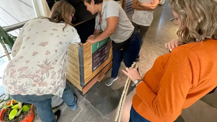 El Museo Gallardo realizará el taller “De generadores de residuos a generadores de tierra”