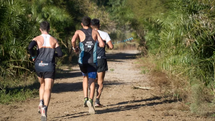 Correr por el ambiente: llega la décima edición del Maratón del Bosque
