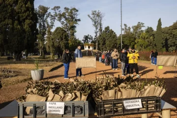El sábado habrá una nueva entrega de esquejes de rosas en el parque de la Independencia