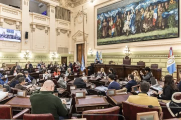 Se realizó la última audiencia pública de la Comisión de Declaraciones, Derechos y Garantías