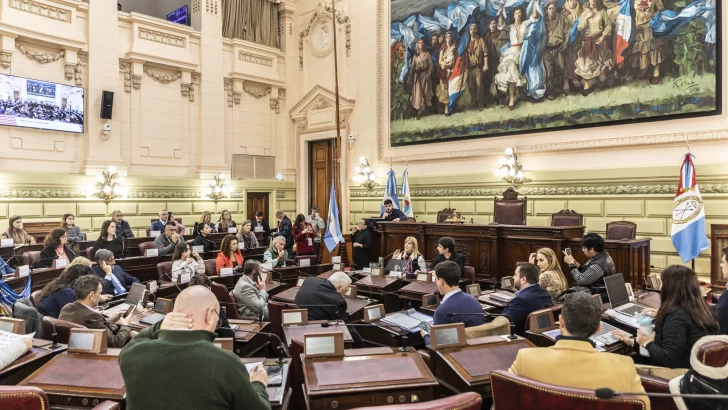 Se realizó la última audiencia pública de la Comisión de Declaraciones, Derechos y Garantías