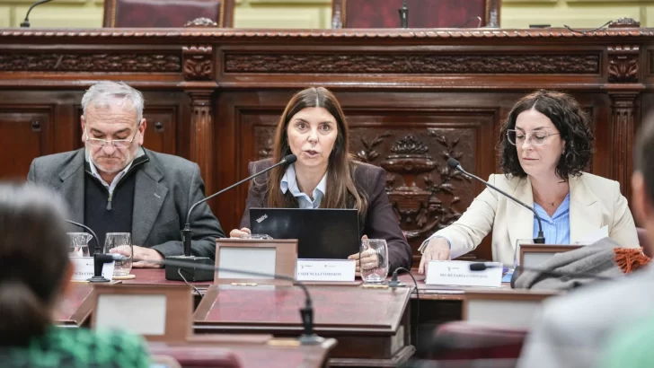 La Comisión Reformadora abordó temas vinculados a seguridad y a los servicios públicos