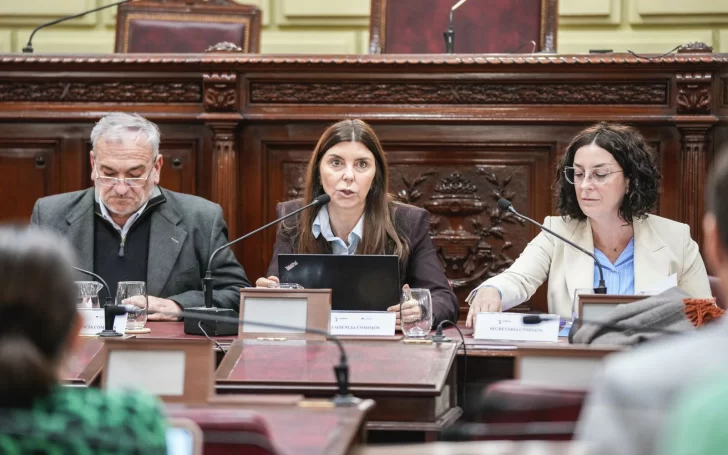 La Comisión Reformadora abordó temas vinculados a seguridad y a los servicios públicos