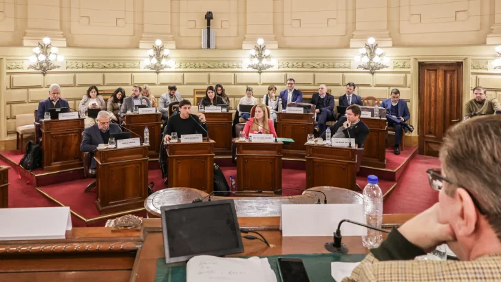 La Comisión de Poder Legislativo y Poder Ejecutivo analizó artículos competentes a la Legislatura
