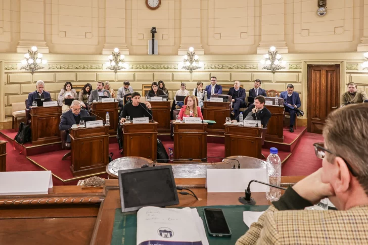 La Comisión de Poder Legislativo y Poder Ejecutivo analizó artículos competentes a la Legislatura