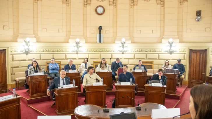 La Comisión de Funcionamiento del Estado y Participación Ciudadana emitió 11 dictámenes