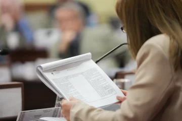 La Convención Reformadora ingresó en la etapa de redacción del nuevo texto constitucional