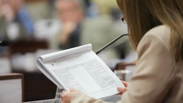 La Convención Reformadora ingresó en la etapa de redacción del nuevo texto constitucional