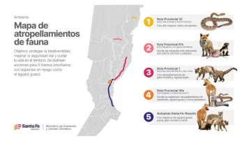 La Provincia presentó un mapa de las rutas con mayor atropellamiento de fauna silvestre