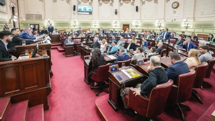 Tras una histórica votación la provincia de Santa Fe tiene una nueva Constitución