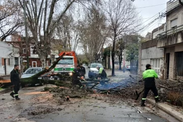 Unas cien cuadrillas municipales trabajan para normalizar los efectos de la tormenta en toda la ciudad