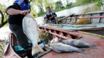 El Concejo analiza crear la Feria Itinerante de Pescadores Artesanales de Río
